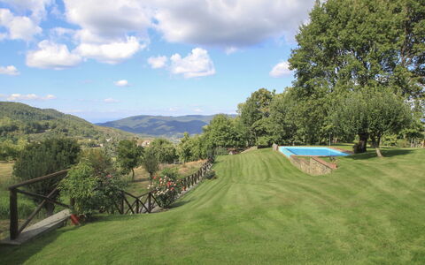 Greve in Chianti 840: Sky, Himmel, Plante, Bjerg, Naturlige Landskab, Træ, Land Lot, Græs, Landskab, Græs-