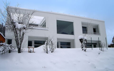 Willmann: Himmel, Bygning, Sne, Vindue, Kvist, Hus, Plante, Urban Design, Facade