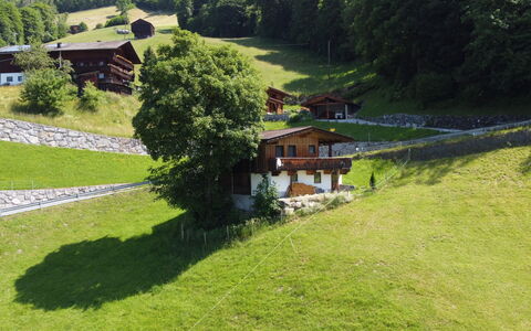 Hamberg Hütte: Plante, Ejendom, Bygning, Naturlige Landskab, Træ, Hus, Land Lot, Vegetationen, Hældning, Biome