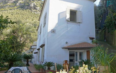 Azienda Agricola Barone - Vico Equense, Campanien, Italien