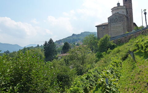 Al Ronchetto: Vegetationen, Slot, Hill Station, Bakke, Træ, Highland, Bjerg, Turisme, Bygning