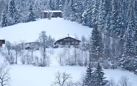 Oberhaslach: Sne, Vinter, Træ, Fryser, Atmosfaeretryk Fænomen, Frost, Hill Station, Hjem, Geologiske Fænomen