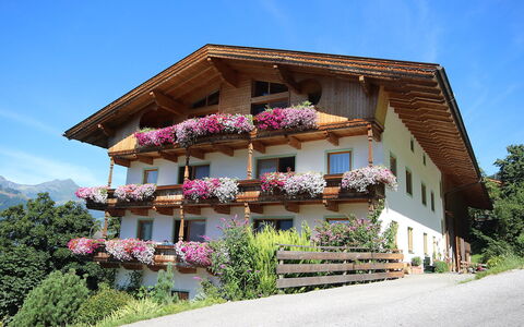 Kaltenbach 610: Plante, Himmel, Bygning, Vindue, Blomst, Træ, Hus, Træ, Facade, Landskab