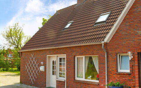 Norddeich 157: Plante, Bygning, Vindue, Ejendom, Sky, Himmel, Hus, Træ, Land Lot, Sommerhus