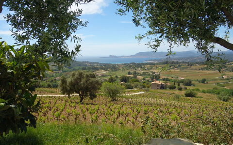 Les Vignes: Vegetationen, Naturlige Landskab, Naturligt Miljø, Træ, Ødemark, Landdistrikt, Bakke, Himmel, Landskab, Land Lot