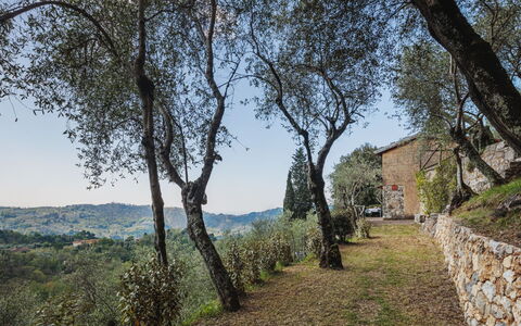 La Capannella: Himmel, Bord, Møbel, Daytime, Ejendom, Plante, Bjerg, Azure, Stol, Natur