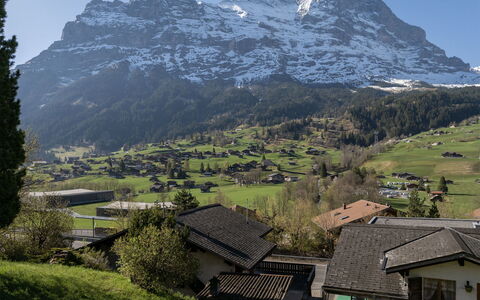 Grindelwald 104