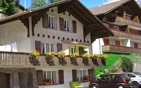 Grindelwald 104: Bil, Himmel, Hjul, Ejendom, Bygning, Plante, Køretøj, Vindue, Hus