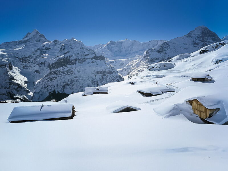 Grindelwald 104