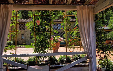 Villa Petrognano: Ejendom, Pergola, Botanik, Hus, Træ, Bygning, Arkitektur, Plante, Have, Hjem