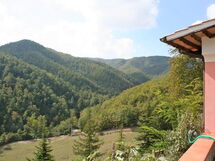 Villa Contessa