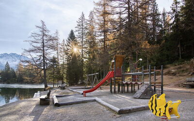 Champex 195