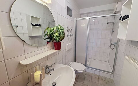 Schonach 125: Sanitærarmatur, Vvs, Tap, Håndvask, Badeværelsesvask, Badeværelse, Hotel, Stueplante