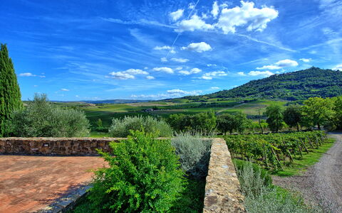 Brunello: Sky, Plante, Himmel, Grøn, Naturlige Landskab, Græs, Land Lot, Træ, Cumulus, Græs-