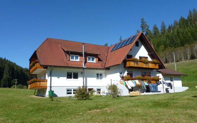 Fischer - Bubenbach, Baden-Württemberg, Tyskland