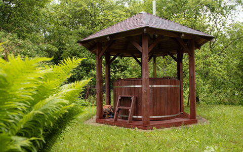 Borowikowa: Gazebo, Træ, Pavilion, Have, Garden Bygninger, Plantesamfund, Udendørs Struktur, Bunddække, Skygge, Bejdse