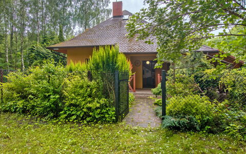 Borowikowa: Busk, Sommerhus, Tag, Hus, Have, Bunddække, Stuehus, Backyard, Garden Bygninger, Landscaping