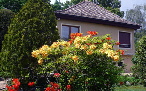5, Chemin de la Pralay: Blomst, Plante, Bygning, Vindue, Himmel, Træ, Blad, Hus, Vegetationen, Biome