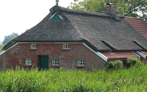 Norddeich 651: Tag, Sommerhus, Hus, Ejendom, Tækning, Hjem, Stuehus, Bygning, Landdistrikt, Græs