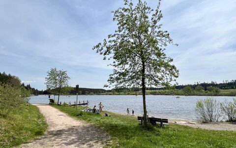 Drachenfels: Vand, Krop Af Vand, Bank, Vandvej, Sø, Fritid, Coastal Og Oceaniske Landskabsformer, Kyst, Reservoir