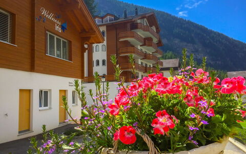 Leukerbad 190: Blomst, Plante, Forår, Blomstrende Plante, Wildflower, Landskab, Værelse, Hjem, Etårig Plante, Blomsterhandlere