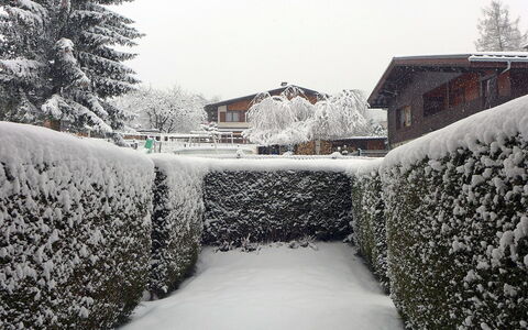 Les Chamois: Sne, Vinter, Fryser, Træ, Frost, Himmel, Hjem, Busk, Sort Og Hvid, Hus