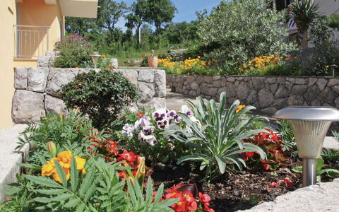 Opatija 106: Blomst, Have, Busk, Bunddække, Landscaping, Blomstrende Plante, Gård, Flise, Backyard