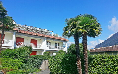 Collina Verde B: Ejendom, Træ, Hus, Vegetationen, Ejendom, Hjem, Bygning, Palme Træ, Estate, Ferie