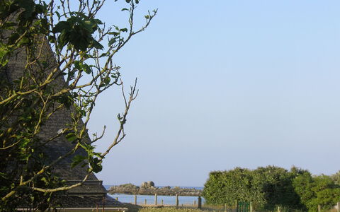 Sables Blancs: Træ, Vegetationen, Himmel, Afdeling, Vand, Vandvej, Vedplante, Blad, Plante, Flod