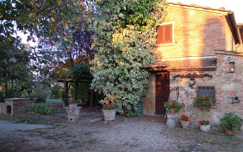 Fattoria la Gabola: Plante, Bygning, Vindue, Blomsterkrukke, Blad, Vegetationen, Vejbelægning, Hus, Biome, Træ