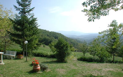 Feriebolig:&nbsp;La Falcionaia