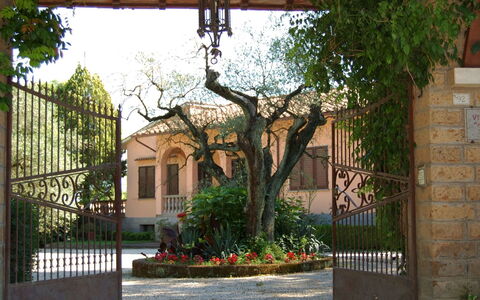 Casa Grion: Plante, Bygning, Ejendom, Vindue, Blad, Himmel, Skygge, Hus, Træ, Hegn