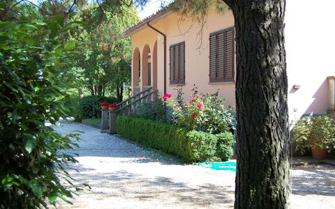 Casa Grion: Plante, Bygning, Vindue, Azure, Vejbelægning, Hus, Vegetationen, Træ, Dør, Kvarter