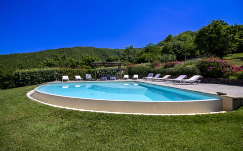 Torre di Vignale: Træ, Landskab, Land Lot, Landdistrikt, Parkere