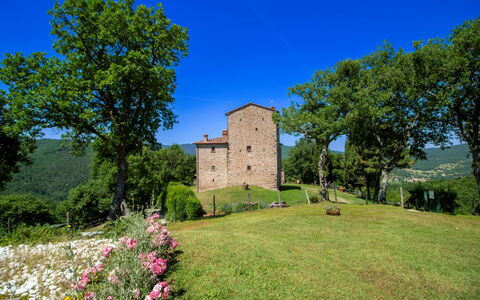 Torre di Vignale: Træ, Landskab, Land Lot, Landdistrikt, Parkere