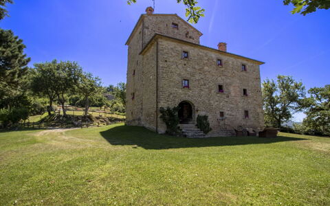 Torre di Vignale: Træ, Landskab, Land Lot, Landdistrikt, Parkere