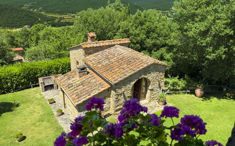 Torre di Vignale: Træ, Landskab, Land Lot, Landdistrikt, Parkere