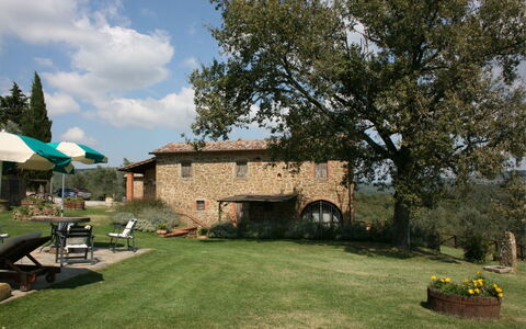 Podere della Crocchia: Plante, Sky, Himmel, Bygning, Træ, Vindue, Land Lot, Skygge, Græs, Sommerhus