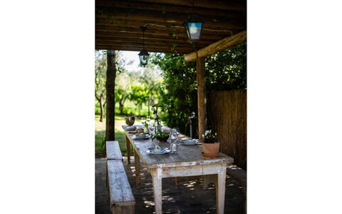 Villa degli Olivi: Plante, Bord, Bygning, Træ, Skygge, Træ, Udendørs Bord, Udendørs Møbler, Bjælke, Veranda