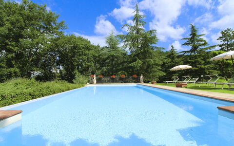 Villa Cecilia: Hus, Hjem, Estate, Sommerhus, Lawn, Have, Landscaping, Stuehus, Hacienda, Gård