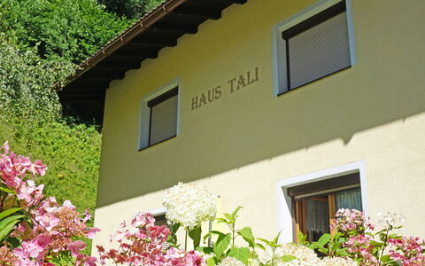 Arlberg: Blomst, Plante, Bygning, Vindue, Ejendom, Botanik, Blad, Vegetationen, Gul