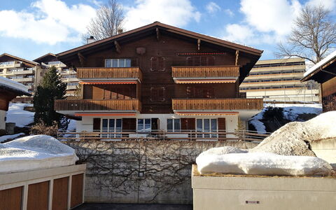 Grindelwald 253: Sky, Himmel, Bygning, Sne, Vindue, Træ, Træ, Hus, Fryser, Kvarter