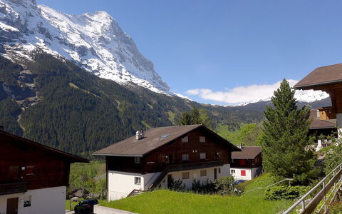Grindelwald 253: Bjergrige Landskabsformer, Bjerg, Bjergkæde, Bjerglandsby, Ejendom, Alps, Himmel, Hus, Tag, Hjem