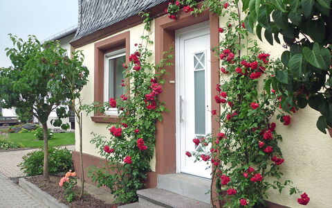 Haus Irmgard: Blomst, Plante, Bygning, Vindue, Hus, Dør, Kronblad, Sommerhus, Sidespor