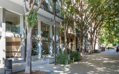 Eixample Esq Rocafort Diputacio: Plante, Bygning, Træ, Skygge, Vejbelægning, Urban Design, Kvarter, Vindue, Fortov, Boligområde