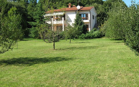Neda: Himmel, Plante, Bygning, Natur, Sky, Træ, Naturlige Landskab, Hus, Land Lot, Sommerhus