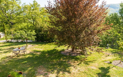 Casa la Primula: Plante, Plantesamfund, Grøn, Afdeling, Naturlige Landskab, Land Lot, Vegetationen, Træ, Græs, Skygge