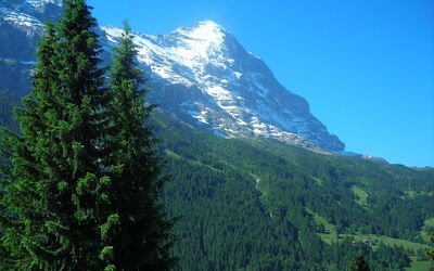 Chalet Almis 5