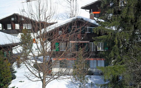Chalet Spassvogel: Plante, Sne, Bygning, Vindue, Himmel, Afdeling, Hældning, Træ, Kvist, Hus