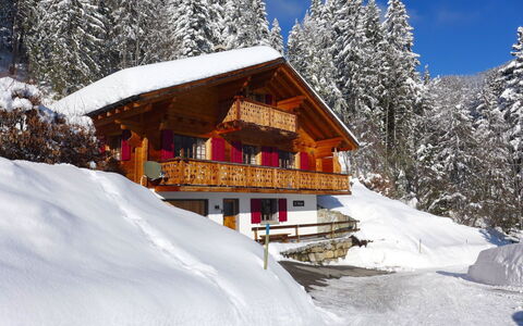 Saint Piran: Sne, Vinter, Bjerg, Fryser, Bjergkæde, Hill Station, Alps, Træ, Himmel, Hus